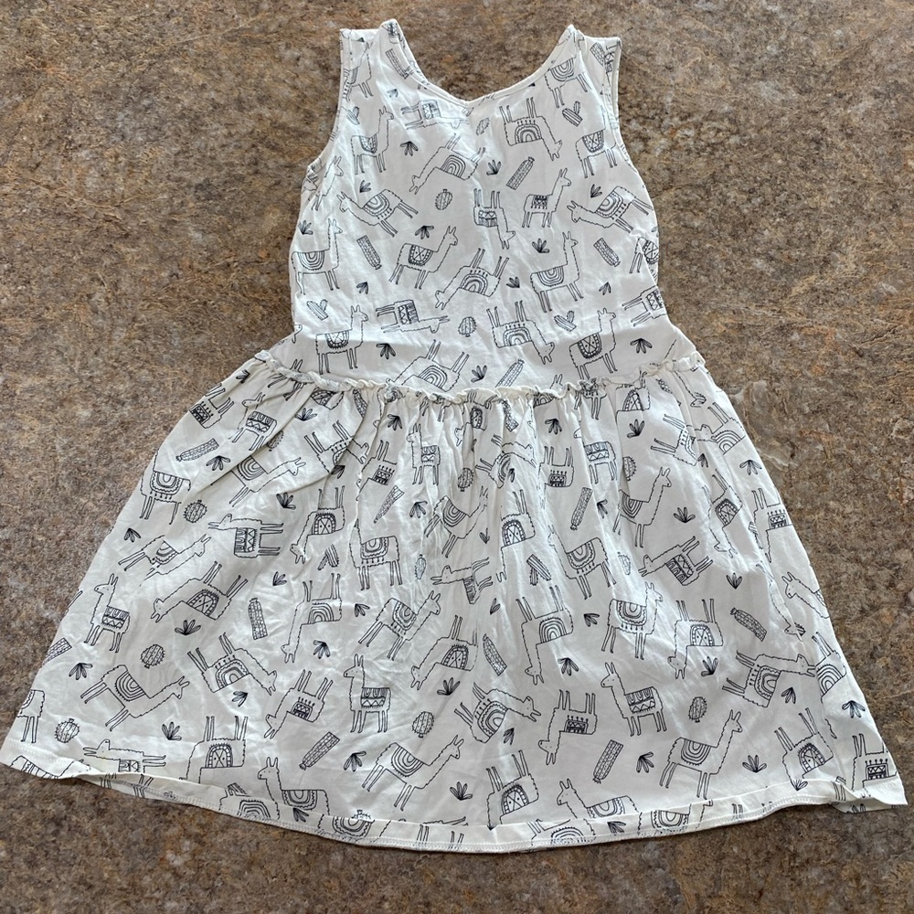Baby Gap Dress